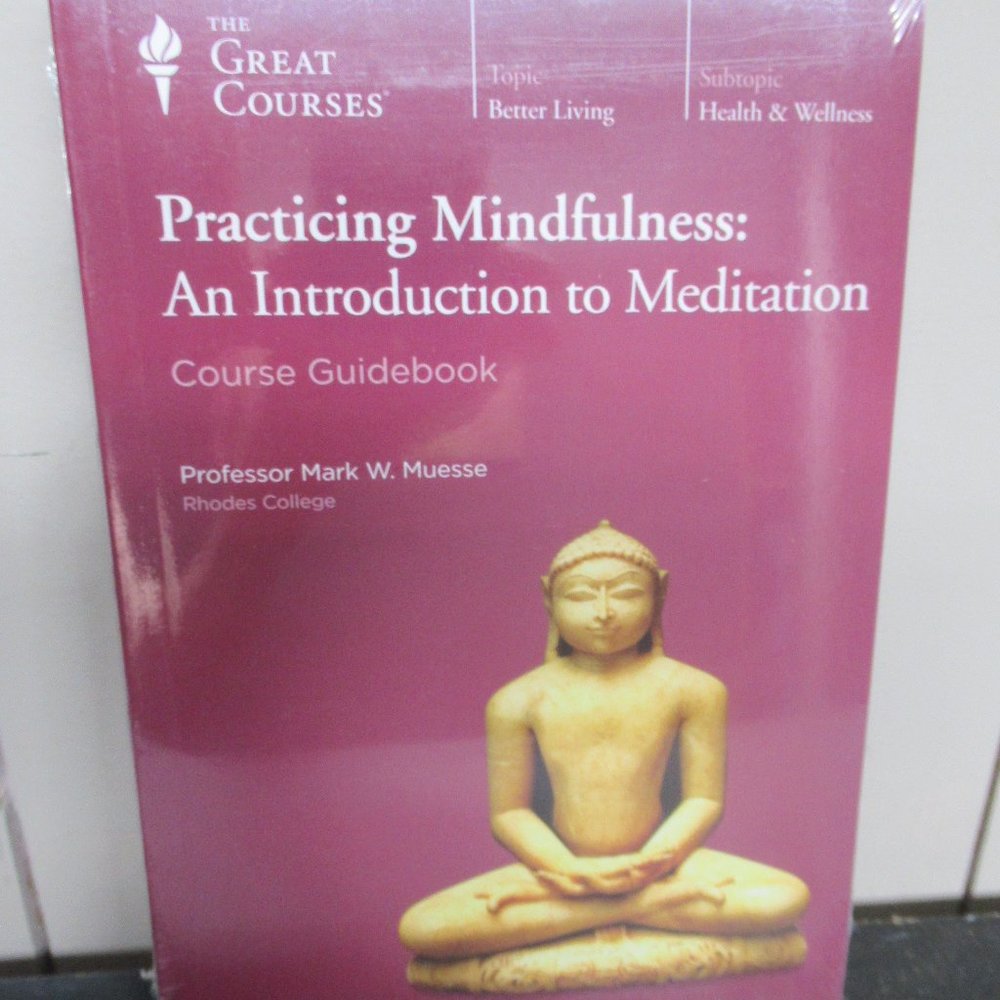 Practicing Mindfulness An Introduction to Meditation Course DVD and Guidebook